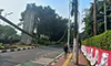 parboaboa